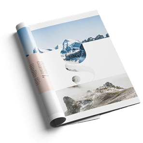 Catalog